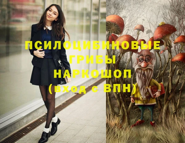 кокс Армянск