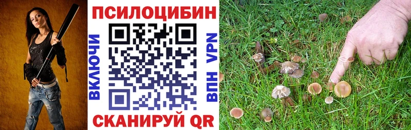 закладка  МЕГА как зайти  Псилоцибиновые грибы мухоморы  Томари 